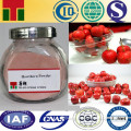 100% pure natural Hawthorn Extract/Hawthorn Extract powder/Hawthorn powder